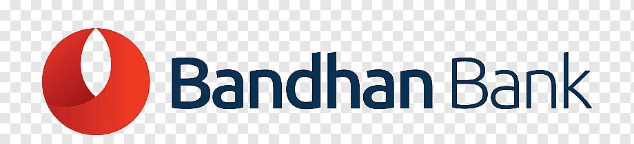 Placement Partner